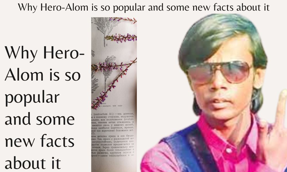 Why Hero-Alom is so popular and some new facts about it
