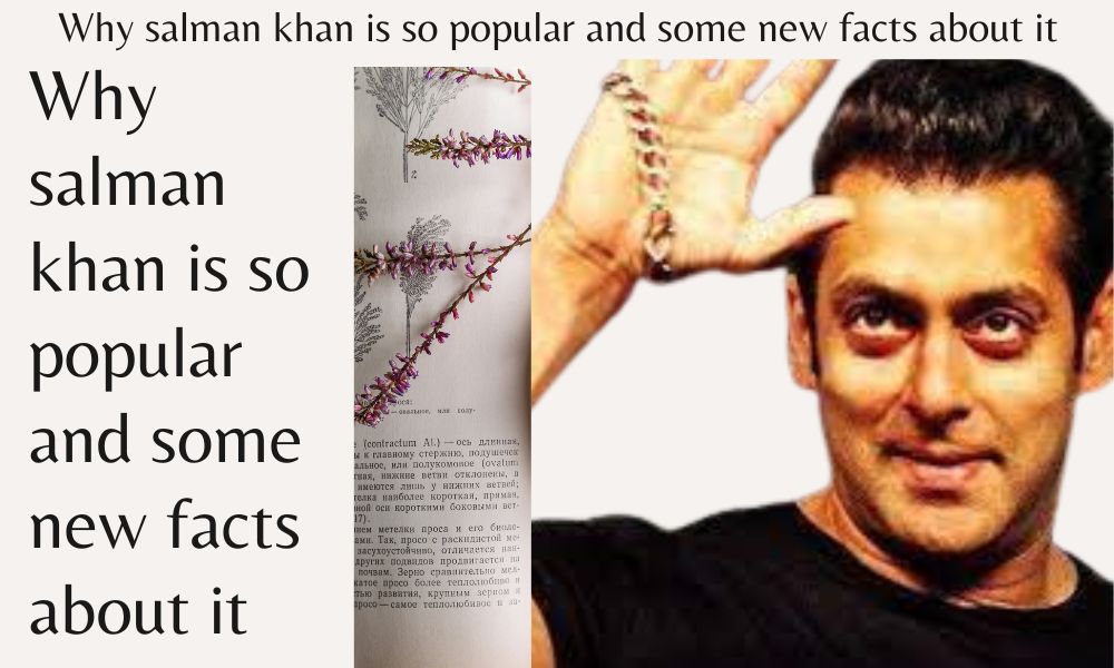 Why salman khan is so popular and some new facts about it